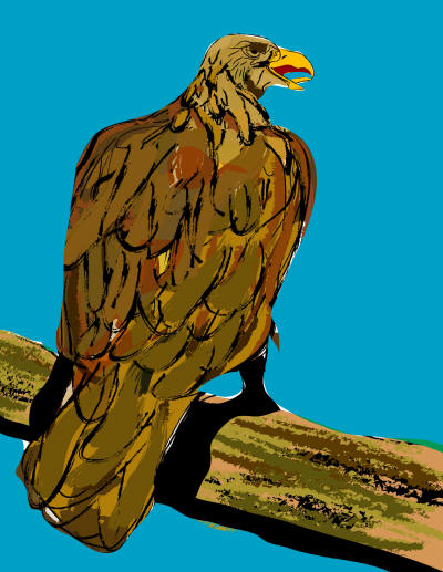 goldeneagle.jpg