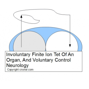 252 involuntary finite ion tet of an organ and vol…