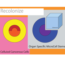 88 to seek find and replace recolonize organ speci…