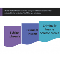 68 criminally insane schizophrenia criminally schi…