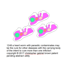 1248 a heart worm with parasitic contaminates may …