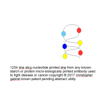 1254 dna at cg nucleotide printed dna from any kno…