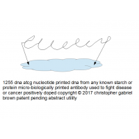 1255 dna at cg nucleotide printed dna from any kno…