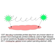 1257 dna at cg nucleotide printed dna from any kno…