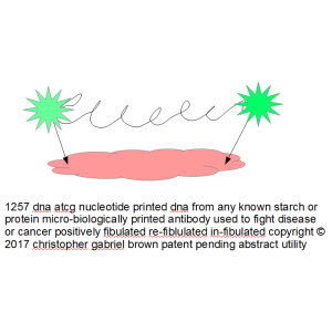 1257 dna at cg nucleotide printed dna from any kno…