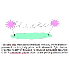 1258 dna at cg nucleotide printed dna from any kno…