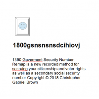 1390 government security number remap is a new rec…