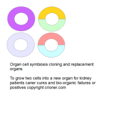 428 organ cell symbiosis cloning and replacement o…