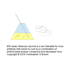 855 weak influenza vaccine is a low tolerable flu …