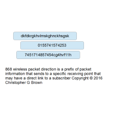 868 wireless packet direction is a prefix of packe…