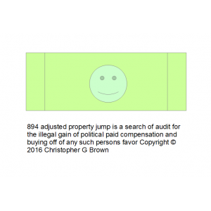 894 adjusted property jump is a search of audit fo…